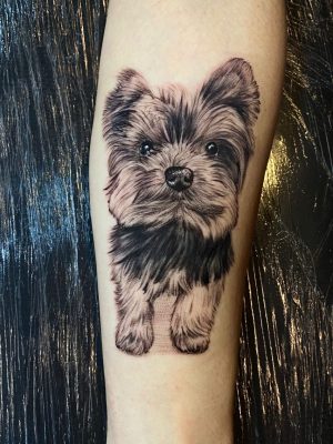 cachorro_Tattoo-1152x1536